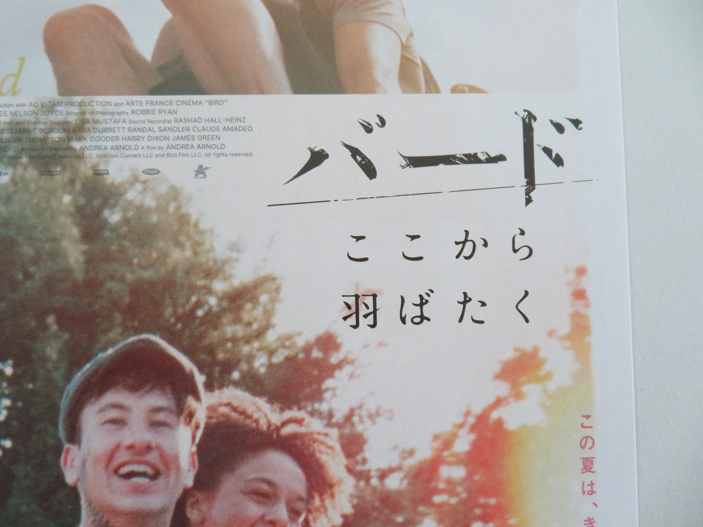 Bird - B Japanese Chirashi (B5) Poster Barry Keoghan Nykiya Adams 2024