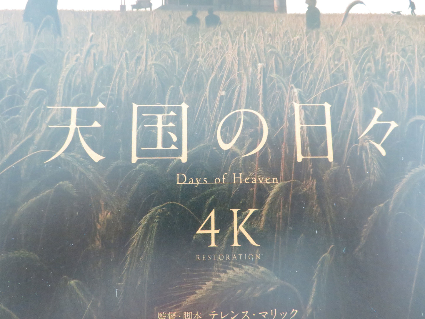Days of Heaven 4k Japanese Chirashi (B5) Poster Richard Gere Brooke Adams R2025