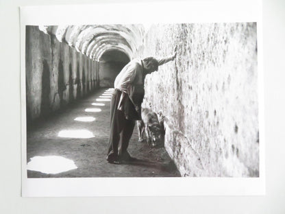 The Belly of an Architect - B Movie Still Photo Lot Of 9 Brian Dennehy 1987