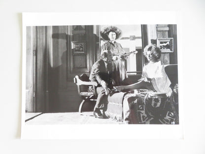 A Zed & Two Noughts - B Movie Still Photo Lot Of 7 Brian Deacon Eric Deacon 1985