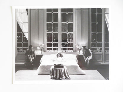 A Zed & Two Noughts - B Movie Still Photo Lot Of 7 Brian Deacon Eric Deacon 1985