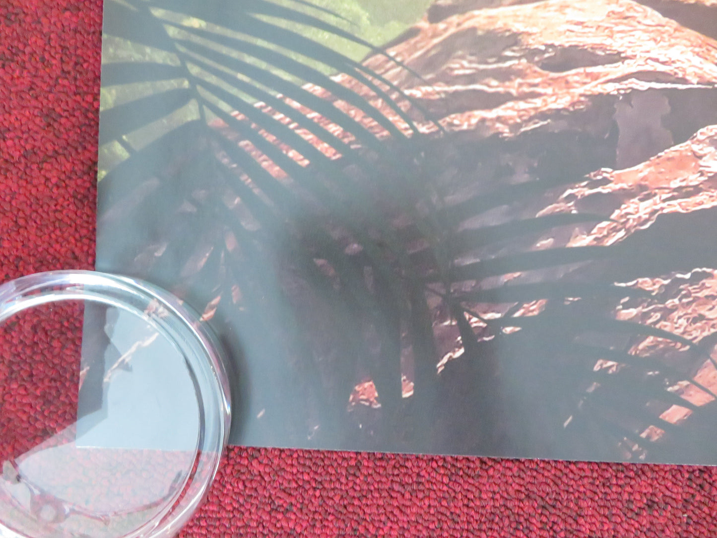 The Lost City UK Quad Rolled Poster Sandra Bullock Channing Tatum 2022