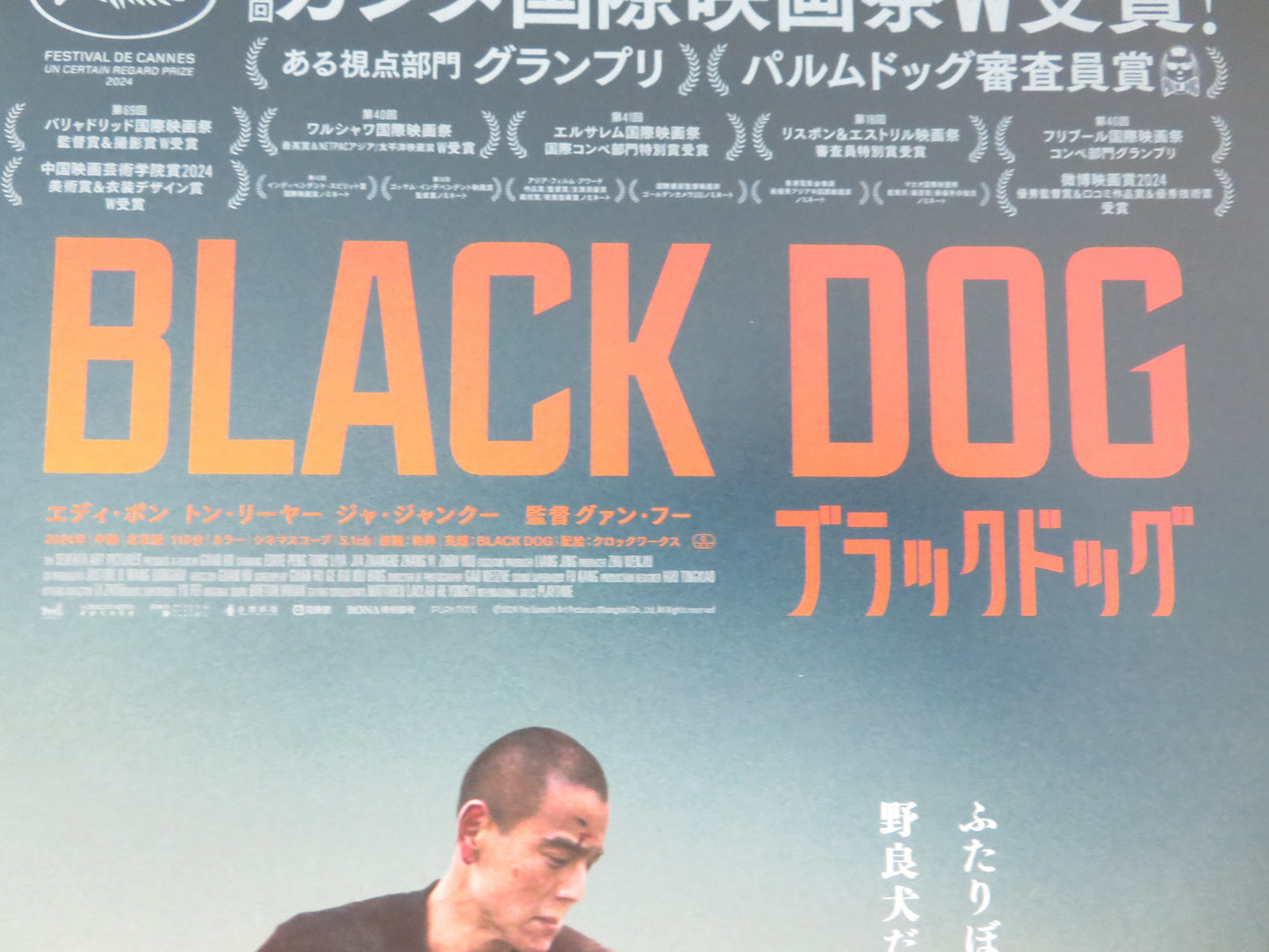Black Dog Japanese Chirashi (B5) Poster Eddie Peng Liya Tong 2024