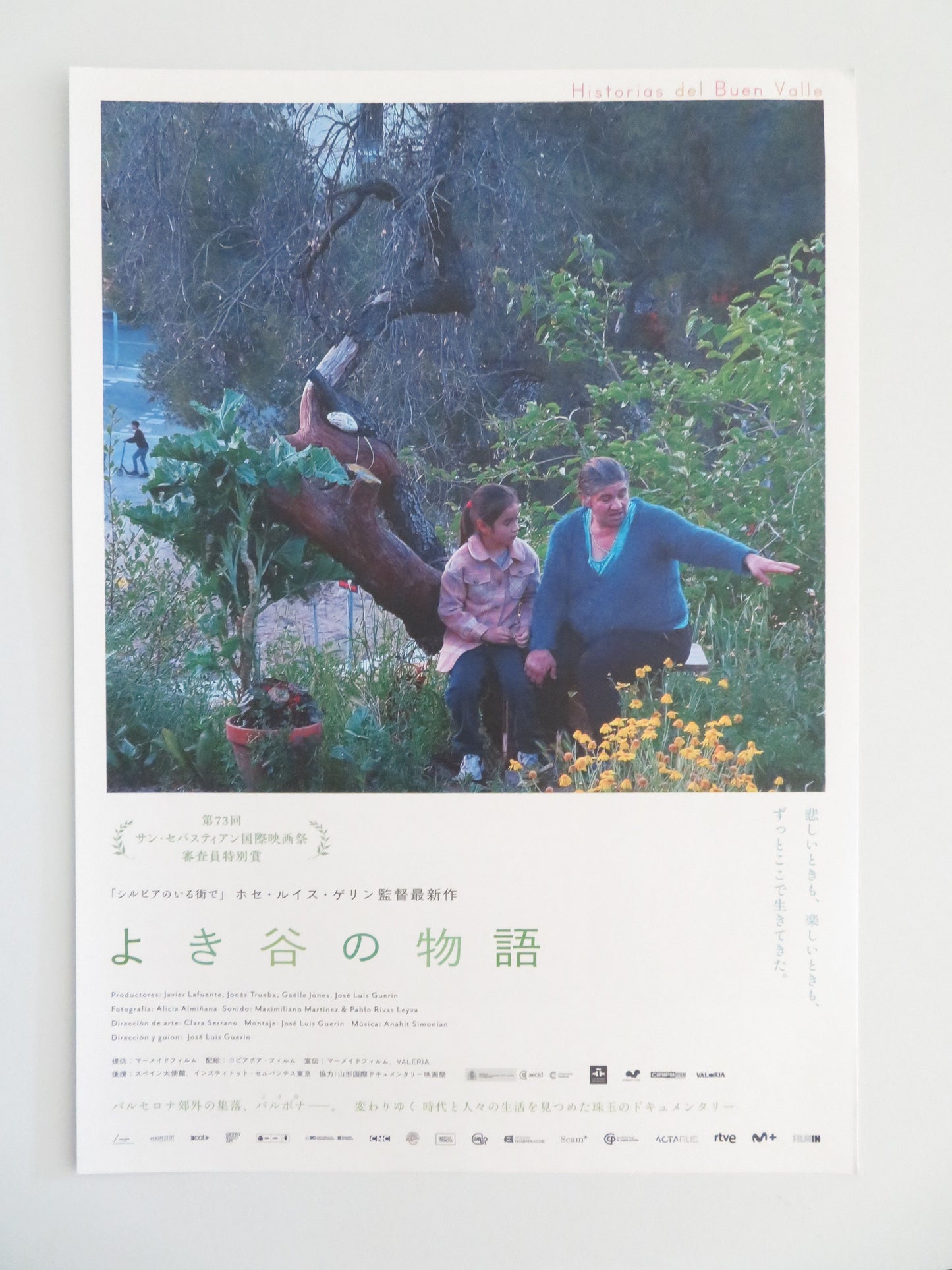 Good Valley Stories Japanese Chirashi (B5) Poster José Luis Guerín 2025