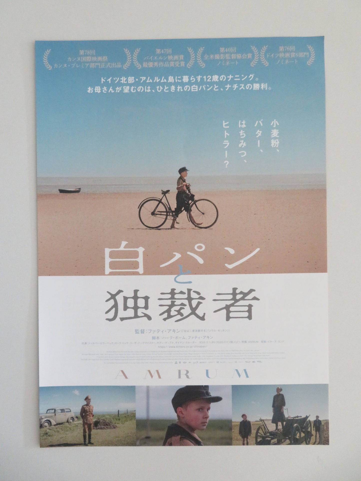 Amrum Japanese Chirashi (B5) Poster Diane Kruger Jasper Billerbeck 2025