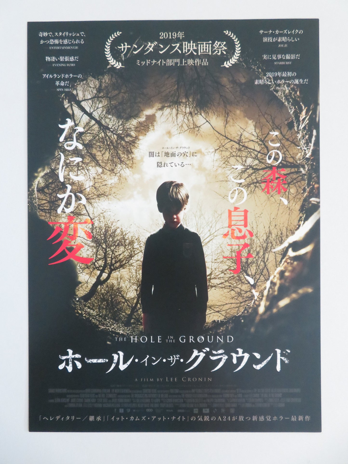 The Hole in the Ground Japanese Chirashi (B5) Poster Seána Kerslake 2019