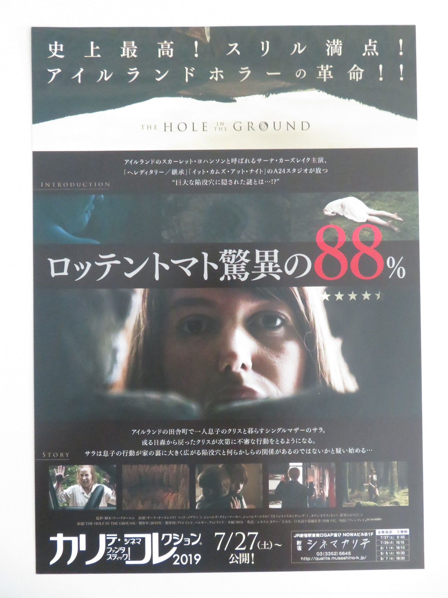 The Hole in the Ground Japanese Chirashi (B5) Poster Seána Kerslake 2019