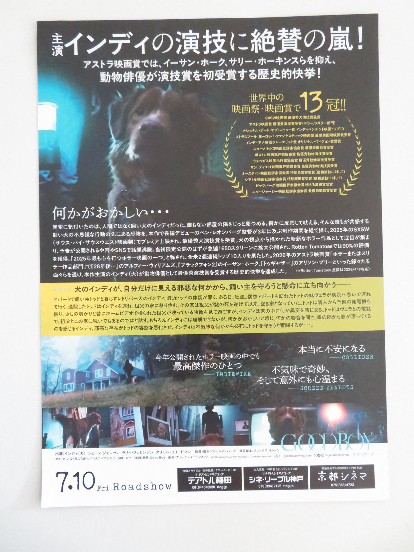 Good Boy Japanese Chirashi (B5) Poster Indy Shane Jensen 2025