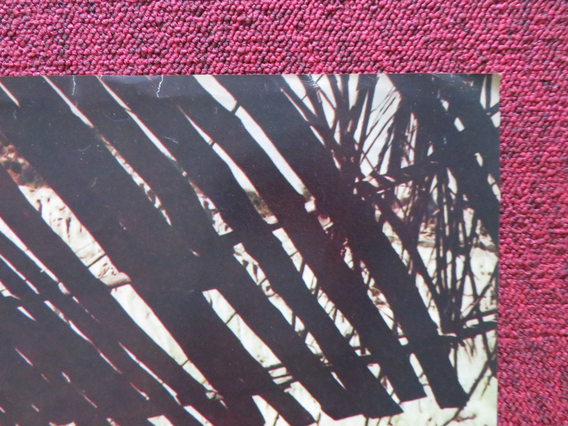 4 DOLLARS OF REVENGE - C ITALIAN FOTOBUSTA POSTER ROBERT WOODS DANA GHIA 1966 Rendezvous Cinema Movie posters