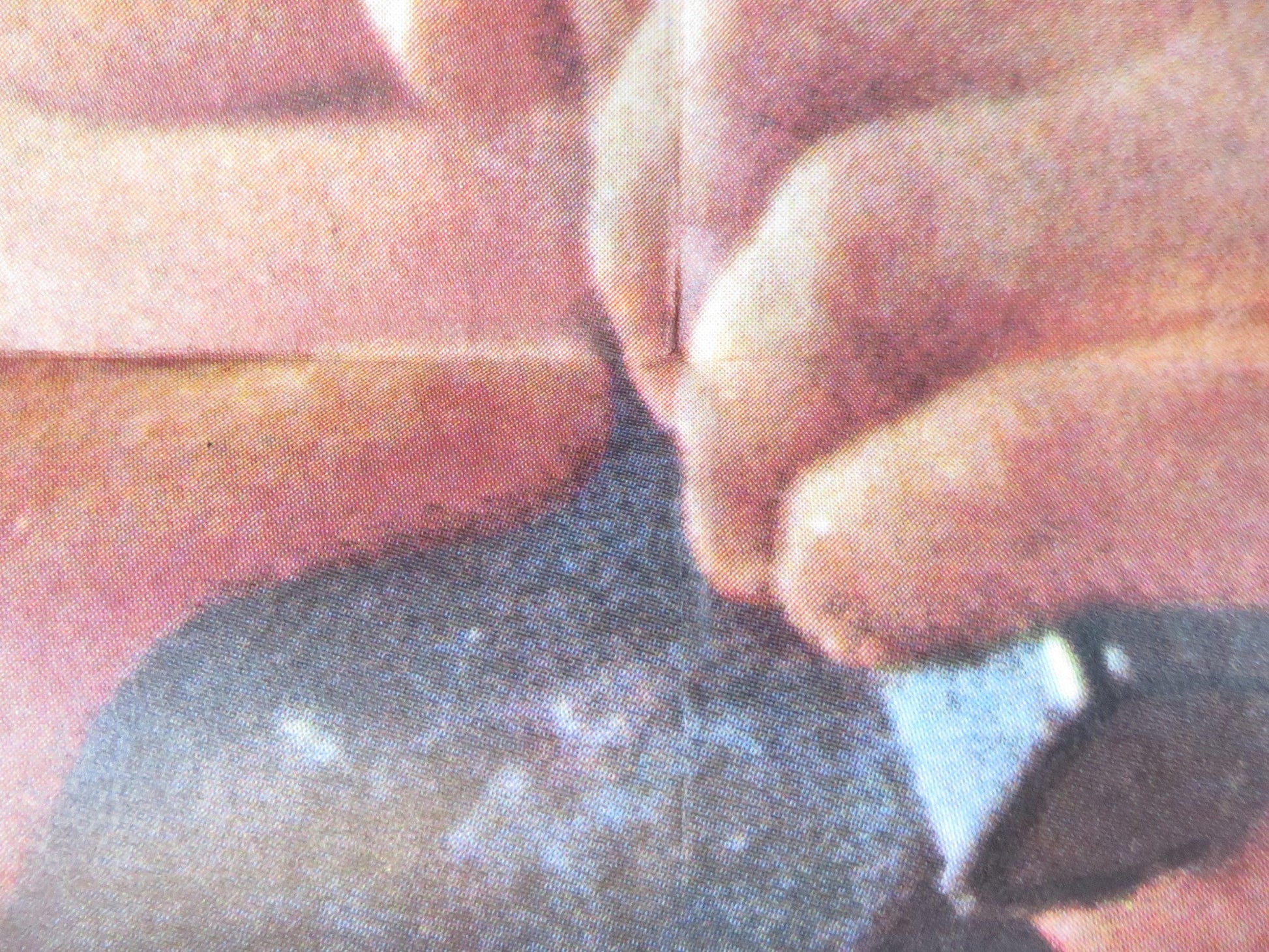 A BULLET FOR PRETTY BOY GERMAN A1 POSTER FOLDED FABIAN FORTE JOCELYN LANE 1970 Rendezvous Cinema Movie posters