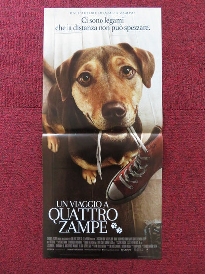A DOG'S WAY HOME ITALIAN LOCANDINA POSTER ASHLEY JUDD JONAH HAUER - KING 2019 - Rendezvous Cinema