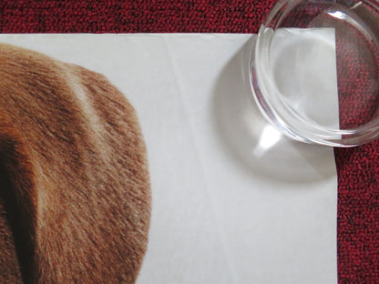 A DOG'S WAY HOME UK QUAD ROLLED POSTER ASHLEY JUDD BRYCE DALLAS HOWARD 2019 Rendezvous Cinema Movie posters