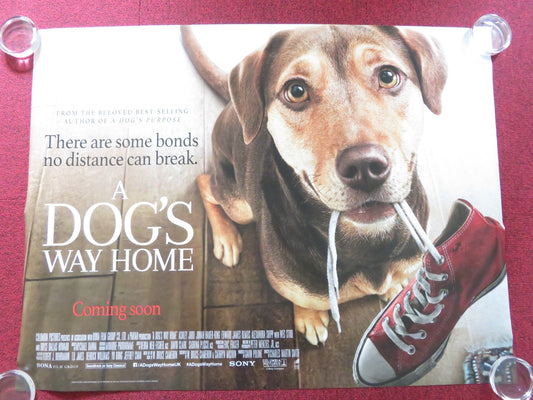 A DOG'S WAY HOME UK QUAD ROLLED POSTER ASHLEY JUDD BRYCE DALLAS HOWARD 2019 Rendezvous Cinema Movie posters