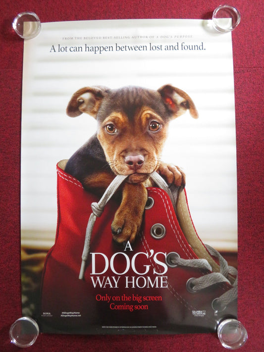 A DOG'S WAY HOME US ONE SHEET ROLLED POSTER ASHLEY JUDD JONAH HAUER - KING 2019 - Rendezvous Cinema