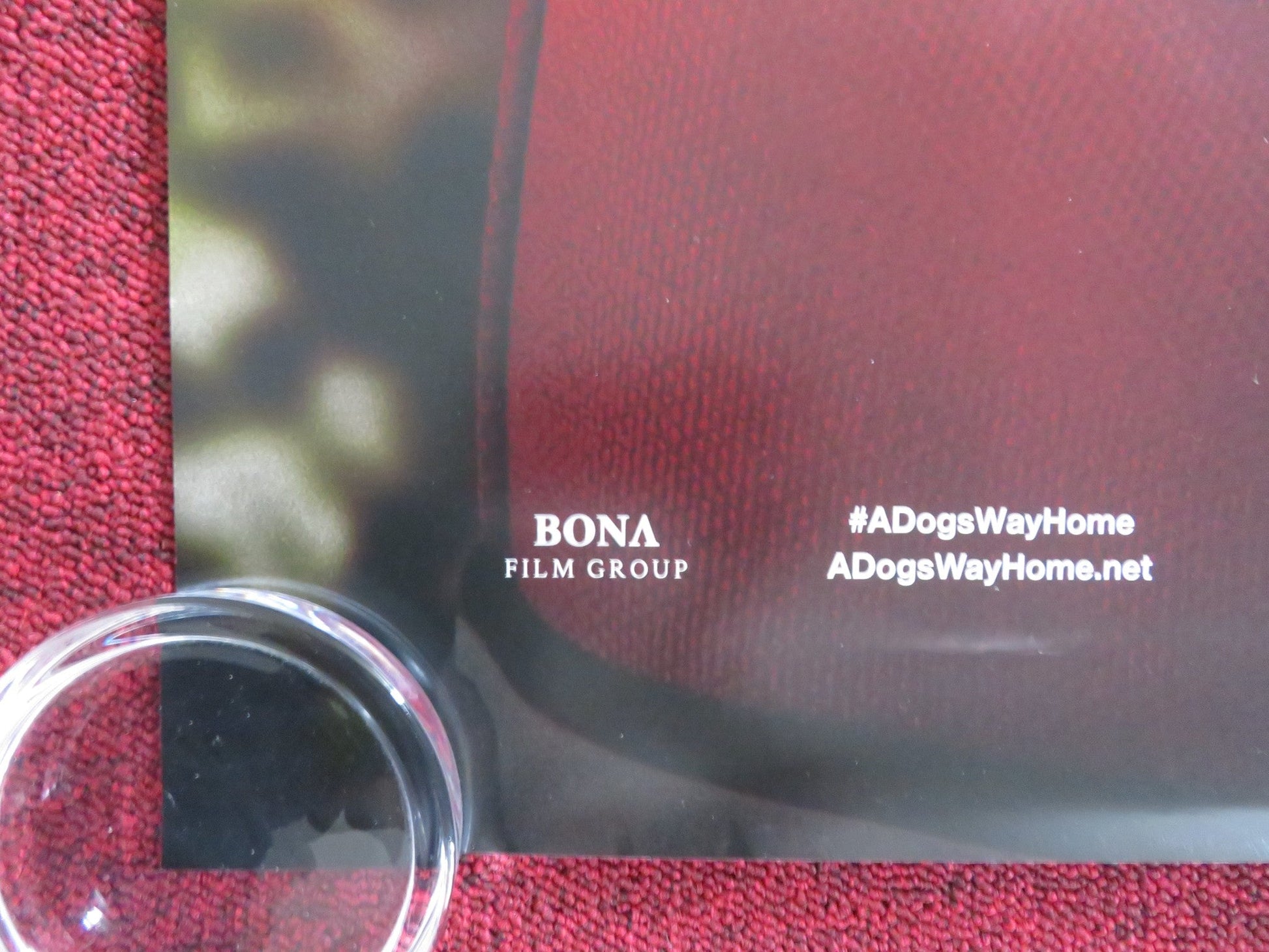 A DOG'S WAY HOME US ONE SHEET ROLLED POSTER ASHLEY JUDD JONAH HAUER - KING 2019 - Rendezvous Cinema