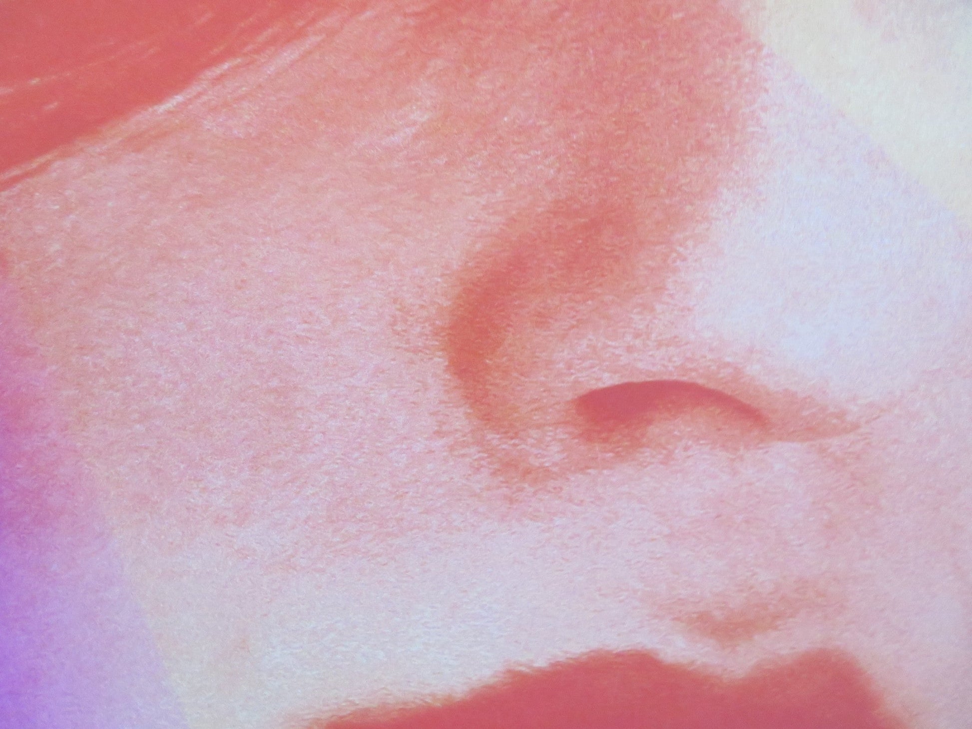 A FANTASTIC WOMAN US ONE SHEET ROLLED POSTER DANIELA VEGA FRANCISCO REYES 2017 - Rendezvous Cinema