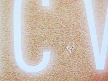 A FANTASTIC WOMAN US ONE SHEET ROLLED POSTER DANIELA VEGA FRANCISCO REYES 2017 - Rendezvous Cinema