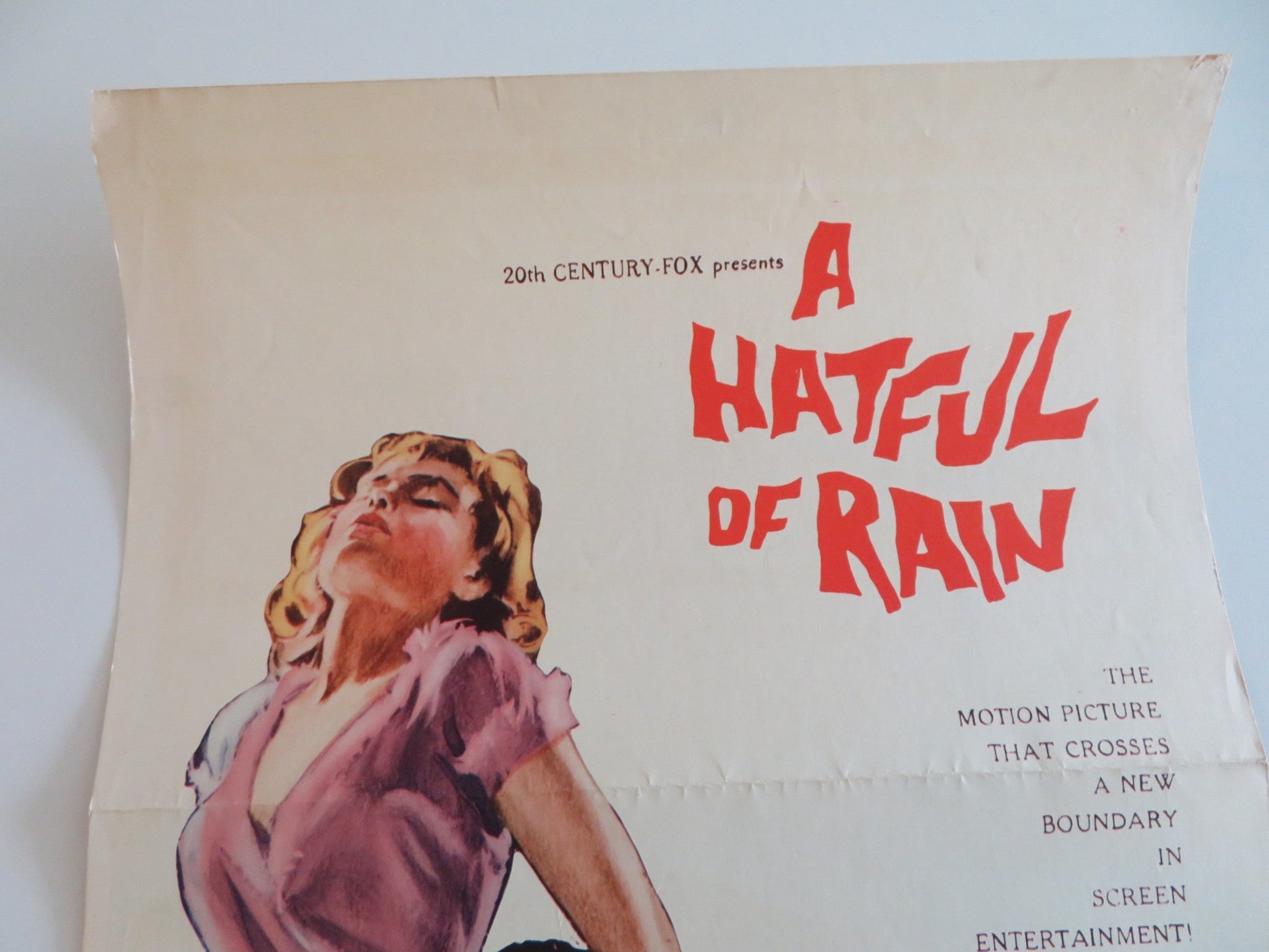 A HATFUL OF RAIN US INSERT POSTER EVA MARIE SAINT DON MURRAY 1957 Rendezvous Cinema Movie posters