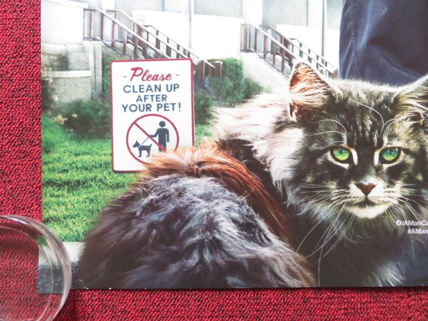 A MAN CALLED OTTO UK QUAD ROLLED POSTER TOM HANKS JOHN HIGGINS 2022 Rendezvous Cinema Movie posters