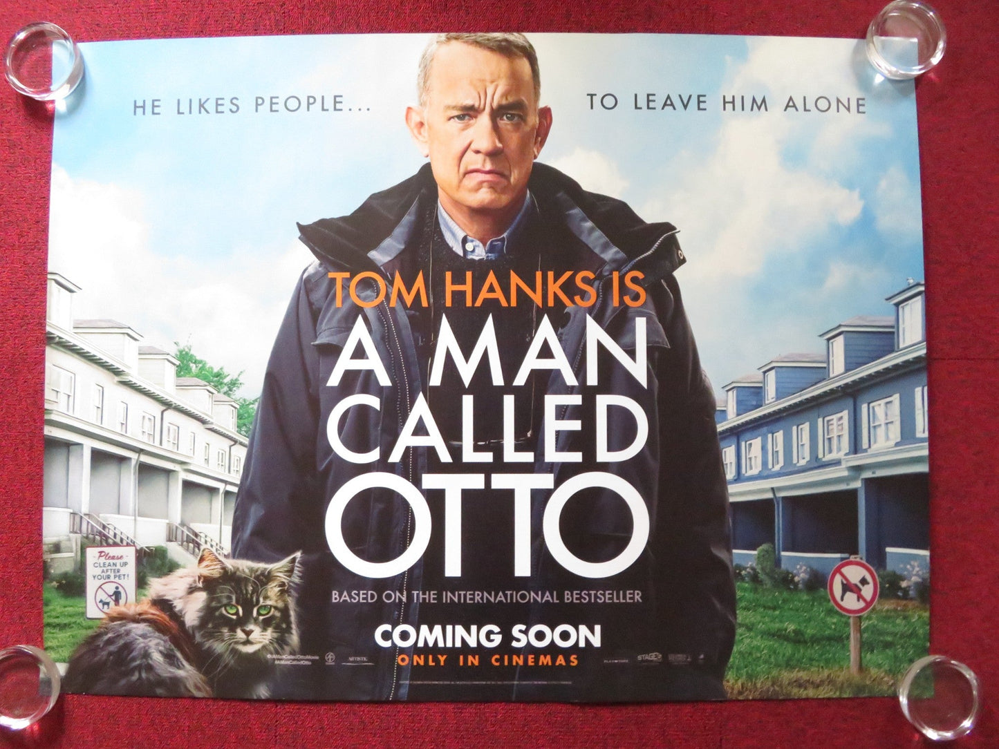 A MAN CALLED OTTO UK QUAD ROLLED POSTER TOM HANKS JOHN HIGGINS 2022 Rendezvous Cinema Movie posters