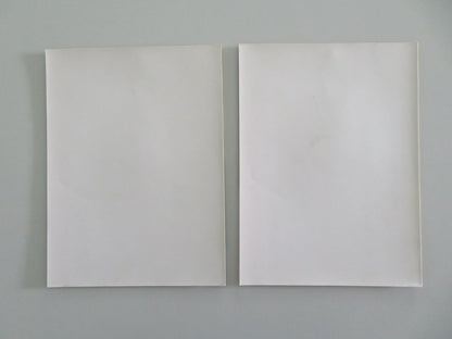 A MAN IN LOVE MOVIE STILL PHOTO LOT OF 2 PETER COYOTE GRETA SCACCHI 1987 Movie posters