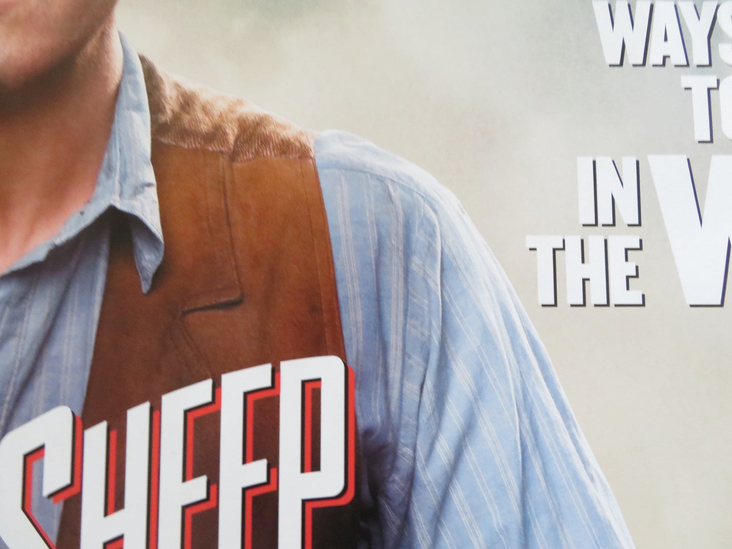 A MILLION WAYS TO DIE IN THE WEST TO UK QUAD ROLLED POSTER M. CHAMBERLAIN 2014 Rendezvous Cinema Movie posters