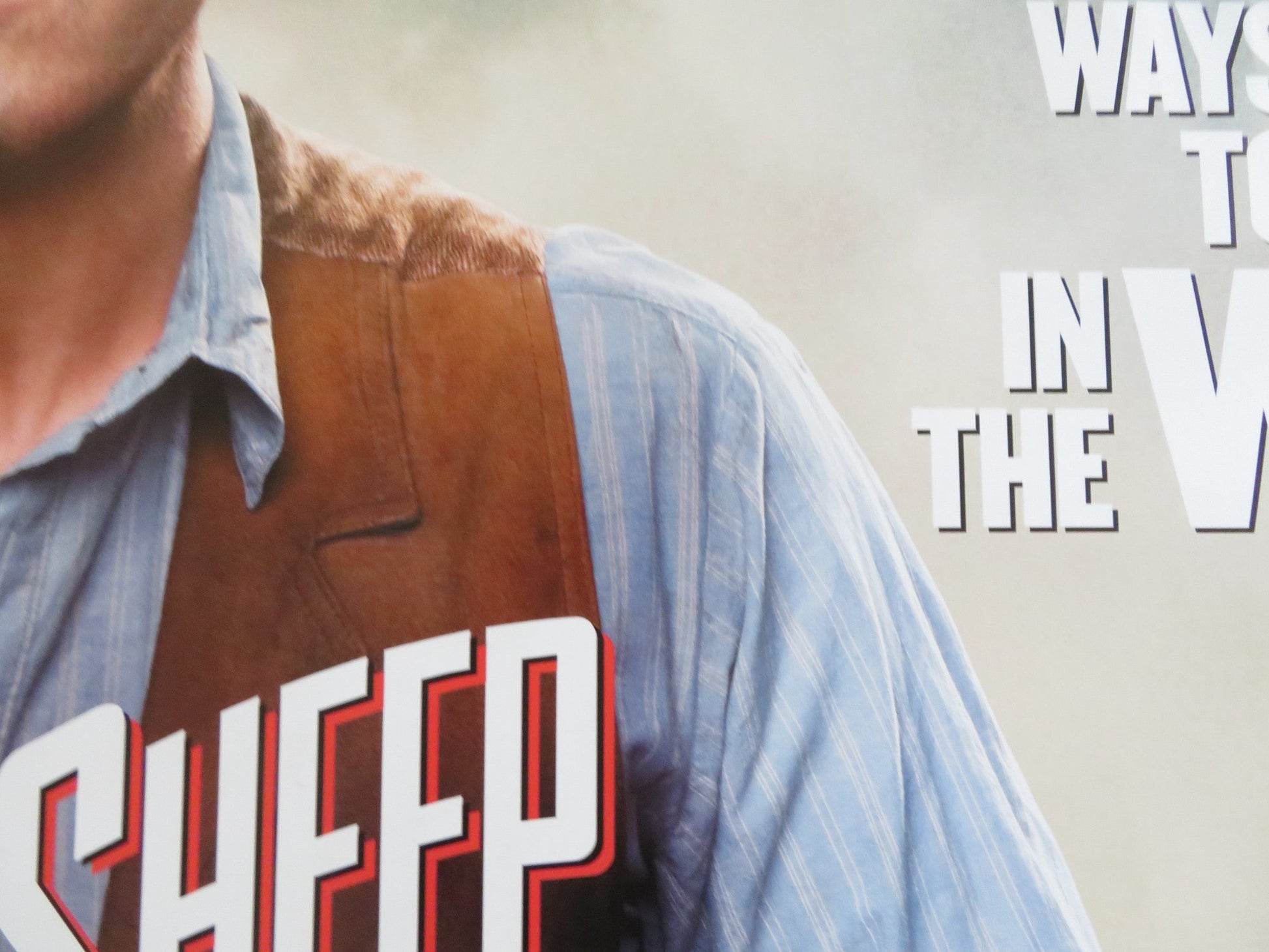 A MILLION WAYS TO DIE IN THE WEST TO UK QUAD ROLLED POSTER M. CHAMBERLAIN 2014 Rendezvous Cinema Movie posters