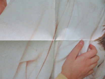 A NIGHT IN THE LIFE OF JIMMY REARDON FOLDED US ONE SHEET POSTER R. PHOENIX 1988 Movie posters