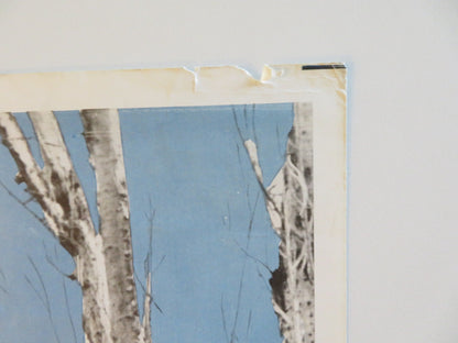 A PATCH OF BLUE US INSERT POSTER SIDNEY POITIER SHELLEY WINTERS 1966 Rendezvous Cinema Movie posters