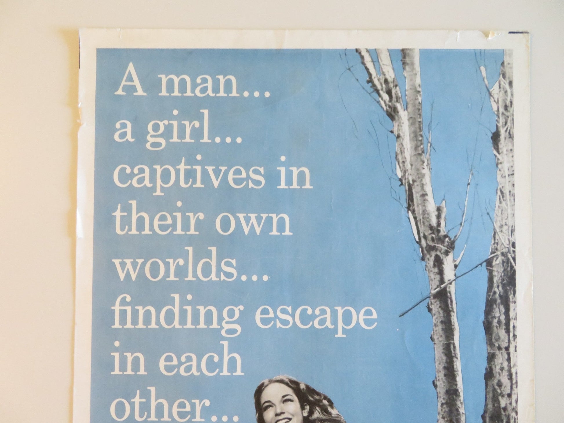 A PATCH OF BLUE US INSERT POSTER SIDNEY POITIER SHELLEY WINTERS 1966 Rendezvous Cinema Movie posters