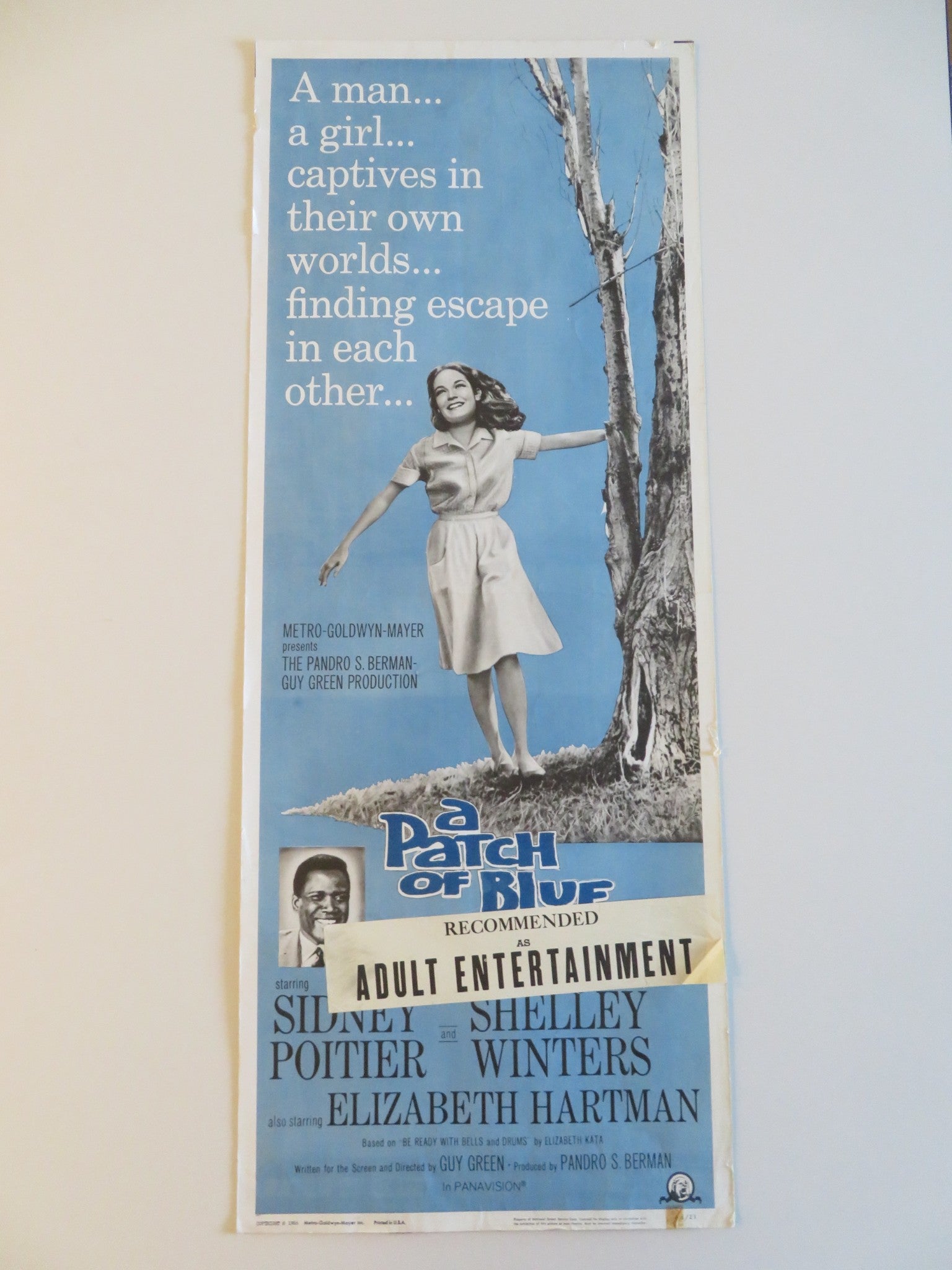A PATCH OF BLUE US INSERT POSTER SIDNEY POITIER SHELLEY WINTERS 1966 Rendezvous Cinema Movie posters
