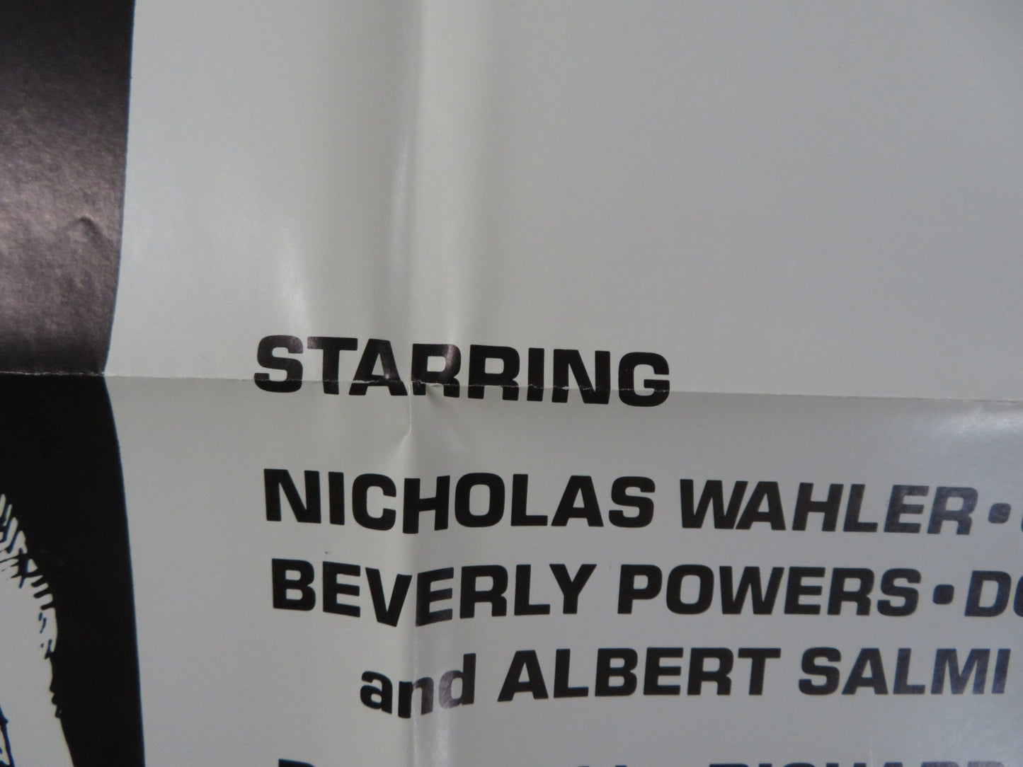 A PLACE WITHOUT PARENTS / Pigeon FOLDED US ONE SHEET POSTER NICHOLAS WAHLER 1975 - Rendezvous Cinema