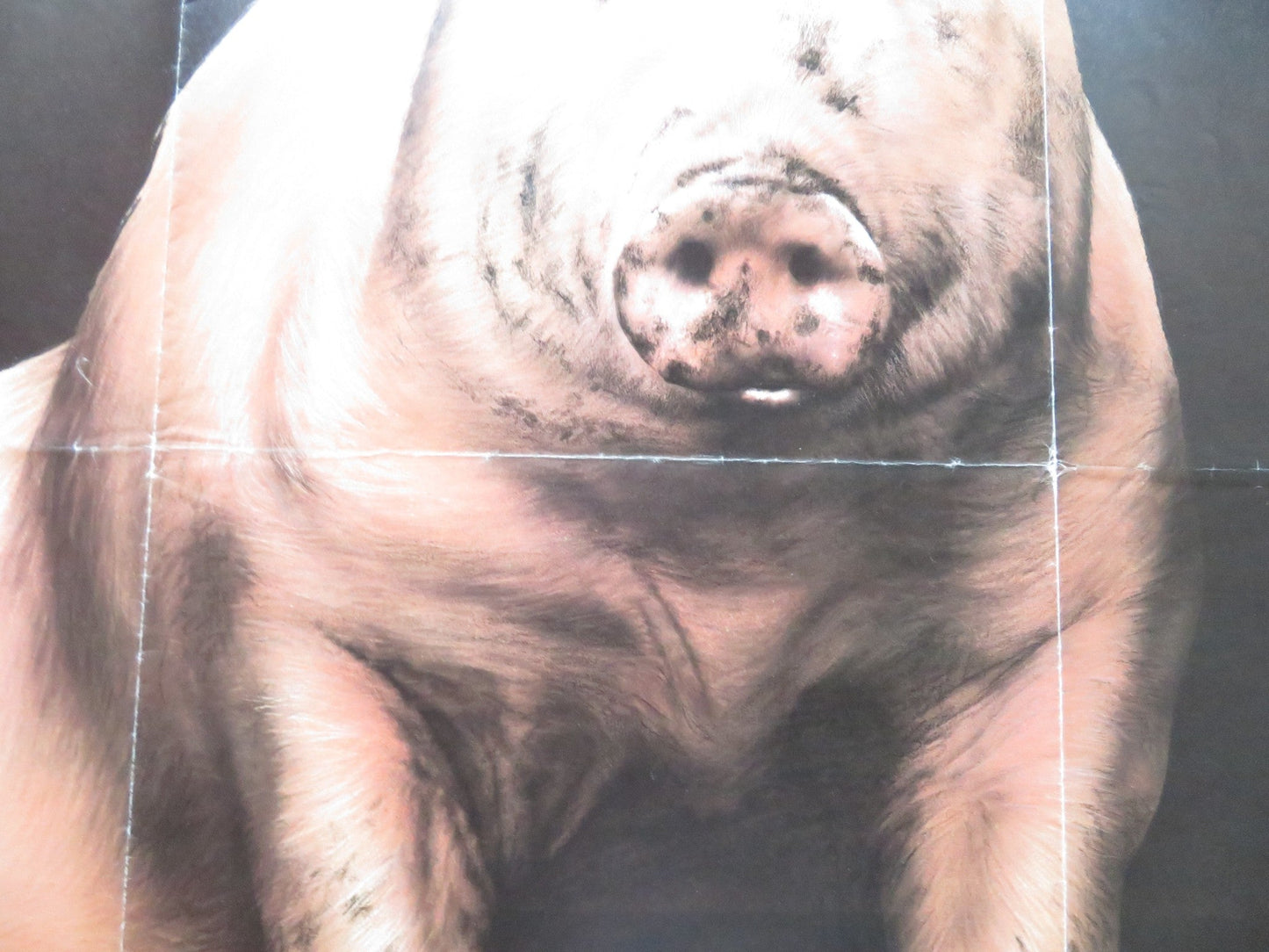 A PRIVATE FUNCTION UK QUAD ROLLED POSTER MICHAEL PALIN MAGGIE SMITH 1984 Rendezvous Cinema Movie posters