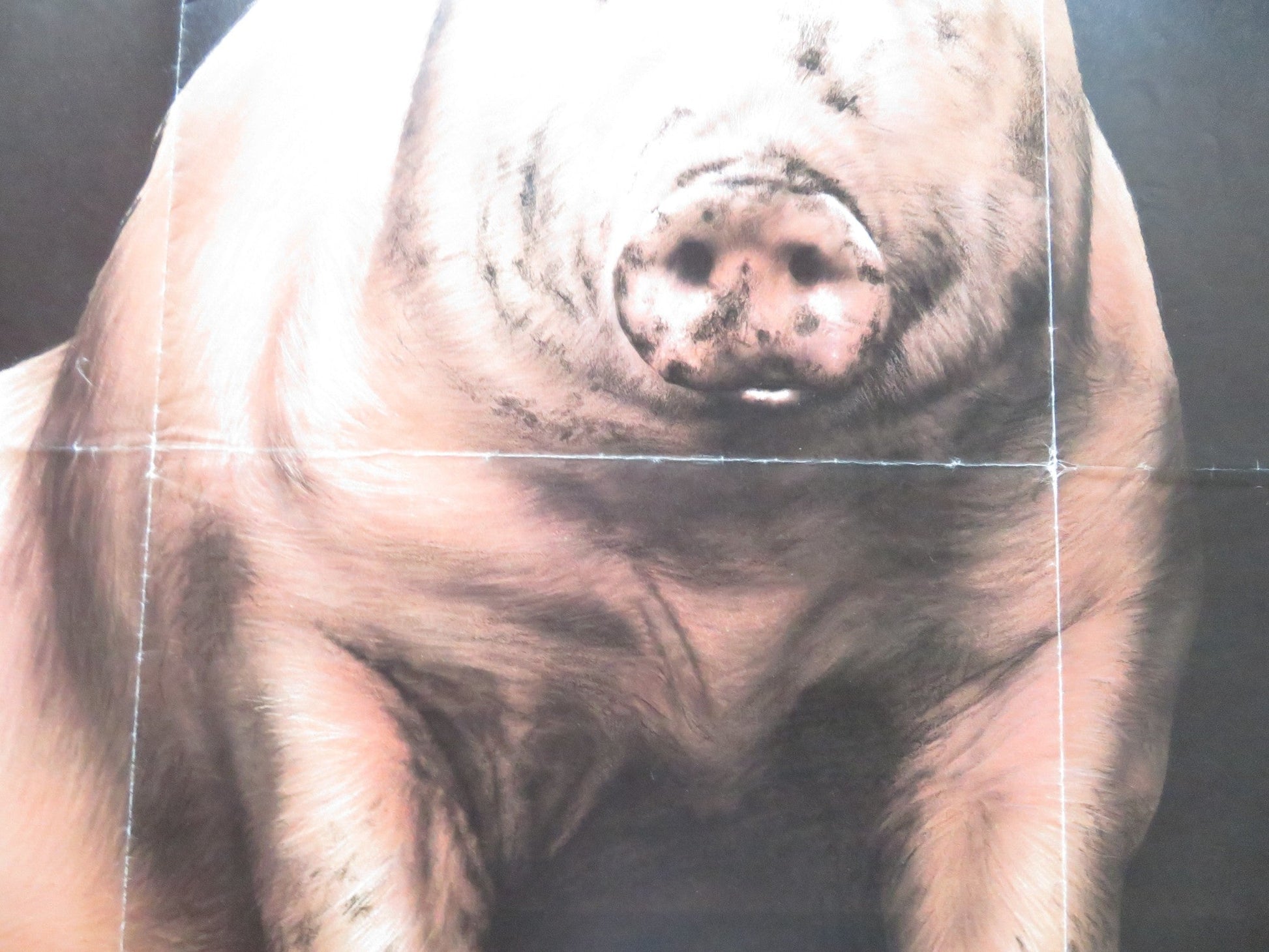 A PRIVATE FUNCTION UK QUAD ROLLED POSTER MICHAEL PALIN MAGGIE SMITH 1984 Rendezvous Cinema Movie posters