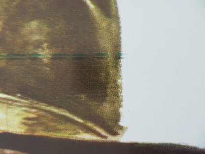 A REASON TO LIVE, A REASON TO DIE ITALIAN ONE SHEET ROLLED POSTER COBURN 1972 Movie posters