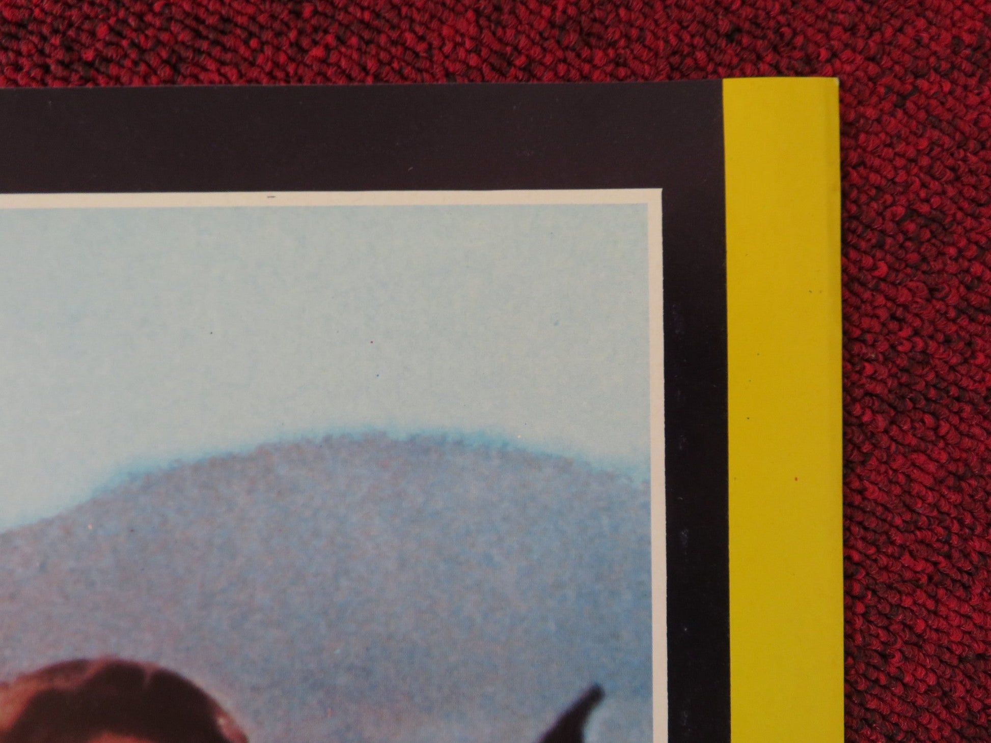 A SUMMER PLACE - G ITALIAN FOTOBUSTA POSTER RICHARD EGAN DOROTHY MCGUIRE 1959 - Rendezvous Cinema