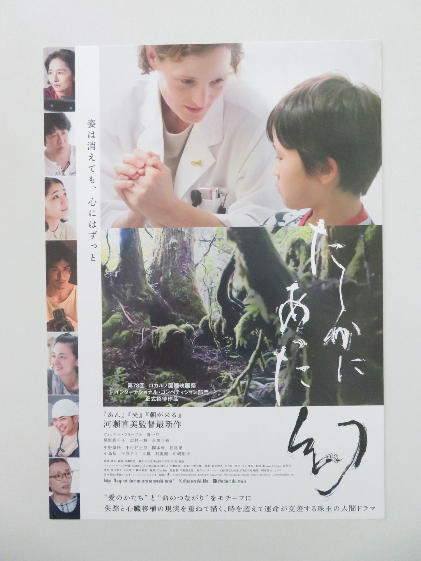 A Vision That Was Certainly There Japanese Chirashi (B5) Poster Ono 2026 Movie posters