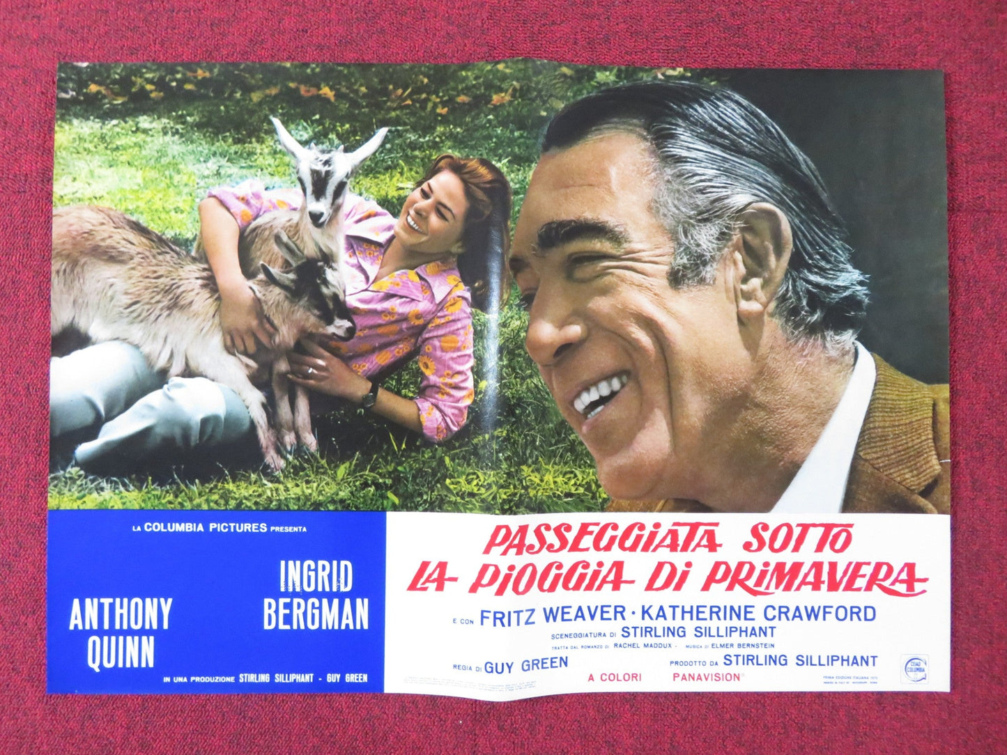 A WALK IN THE SPRING RAIN - G ITALIAN FOTOBUSTA POSTER ANTHONY QUINN 1970 - Rendezvous Cinema