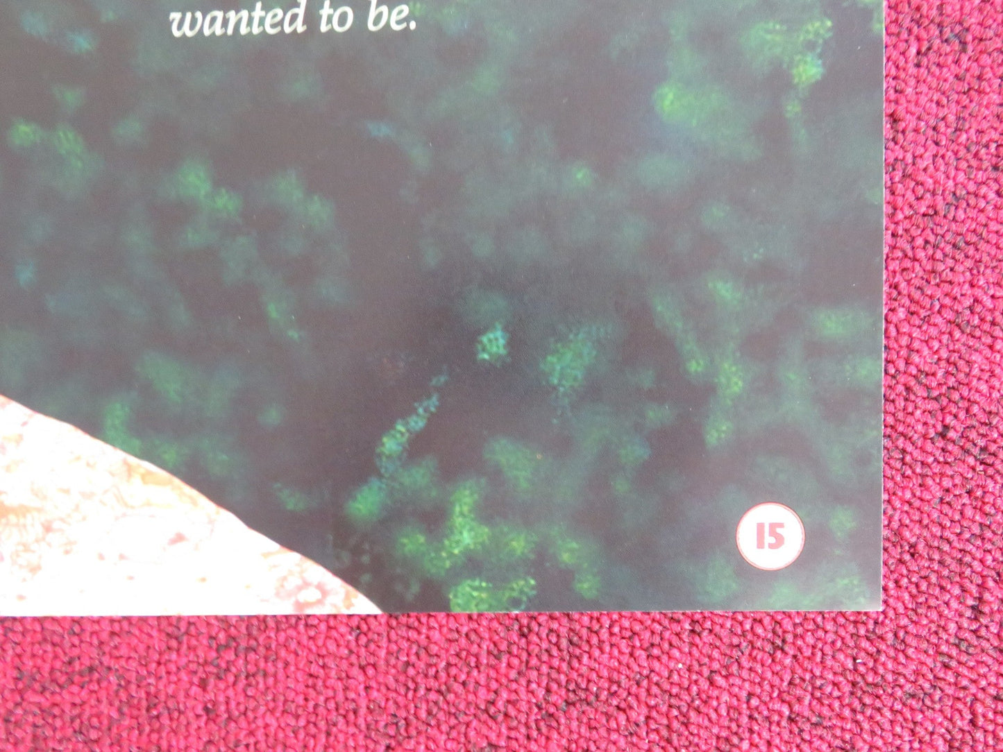A WALK ON THE MOON VHS VIDEO POSTER DIANE LANE VIGGO MORTENSEN 1999 Rendezvous Cinema Movie posters