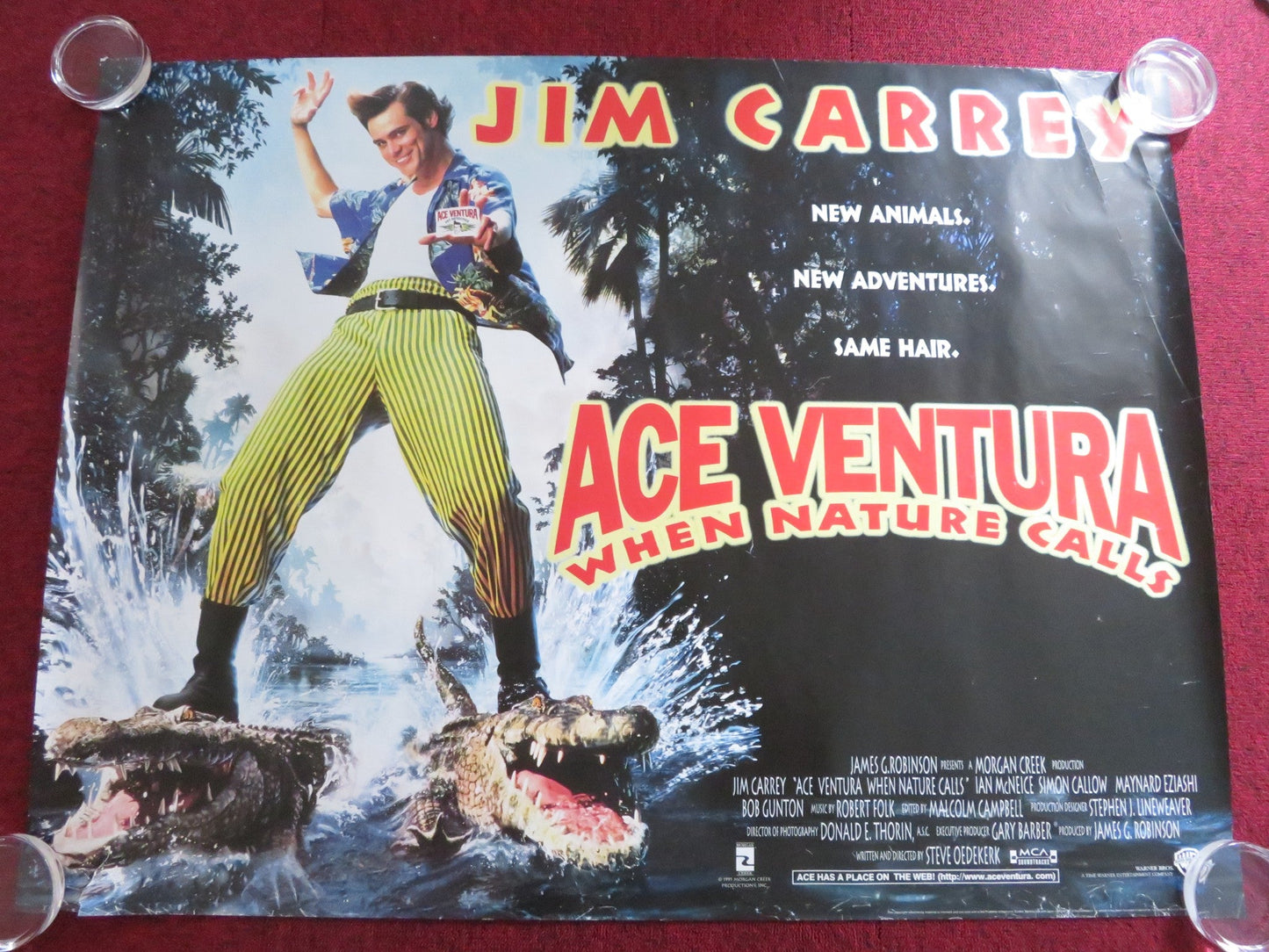 ACE VENTURA: WHEN NATURE CALLS UK QUAD ROLLED POSTER JIM CARREY S. CALLOW 1995 Rendezvous Cinema Movie posters