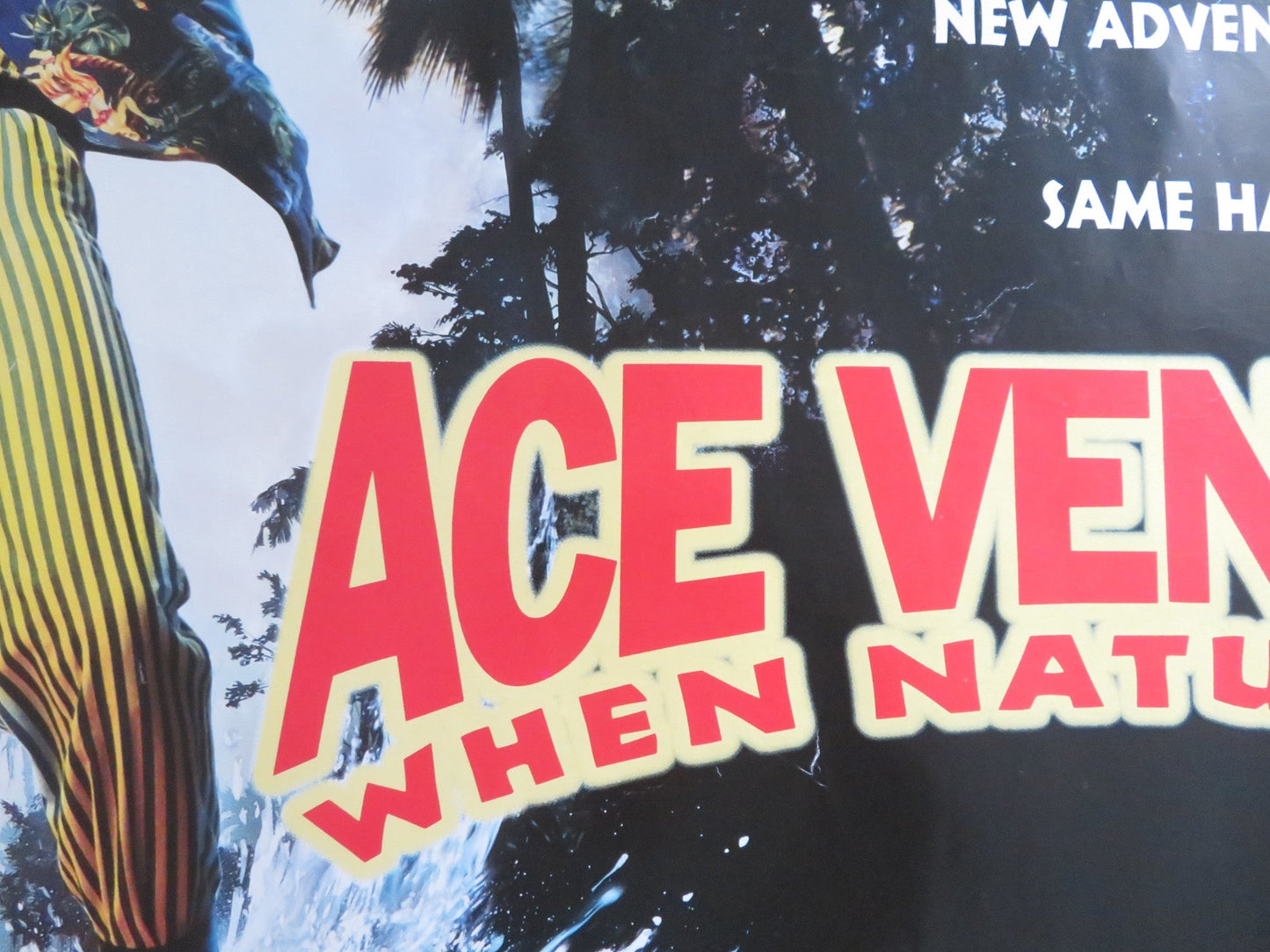 ACE VENTURA: WHEN NATURE CALLS UK QUAD ROLLED POSTER JIM CARREY S. CALLOW 1995 Rendezvous Cinema Movie posters