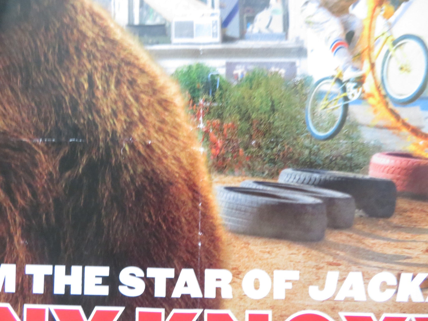 ACTION POINT UK QUAD ROLLED POSTER JOHNNY KNOXVILLE CHRIS PONTIUS 2018 Rendezvous Cinema Movie posters