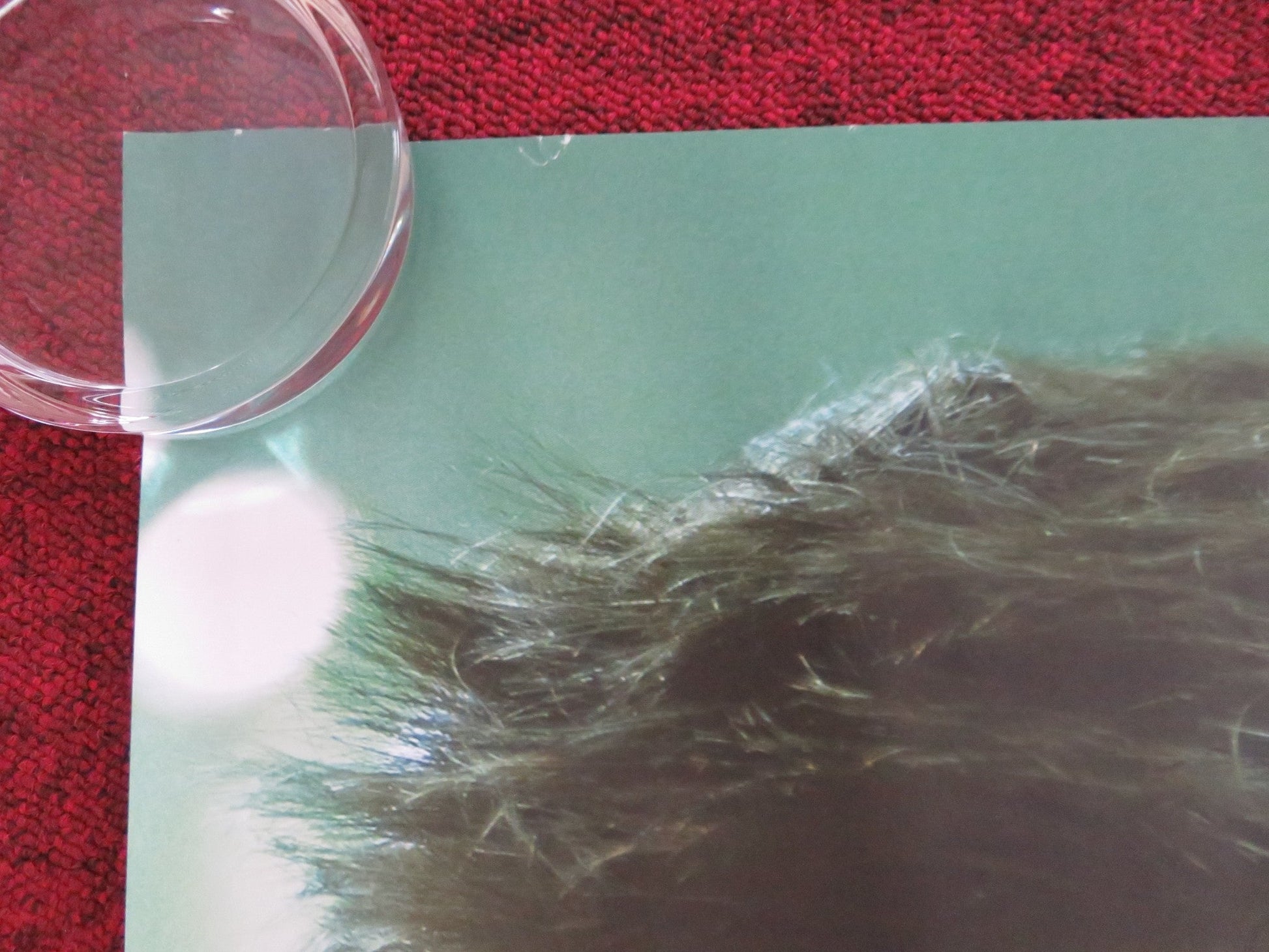 AD ASTRA - B UK QUAD ROLLED POSTER BRAD PITT TOMMY LEE JONES 2019 Rendezvous Cinema Movie posters