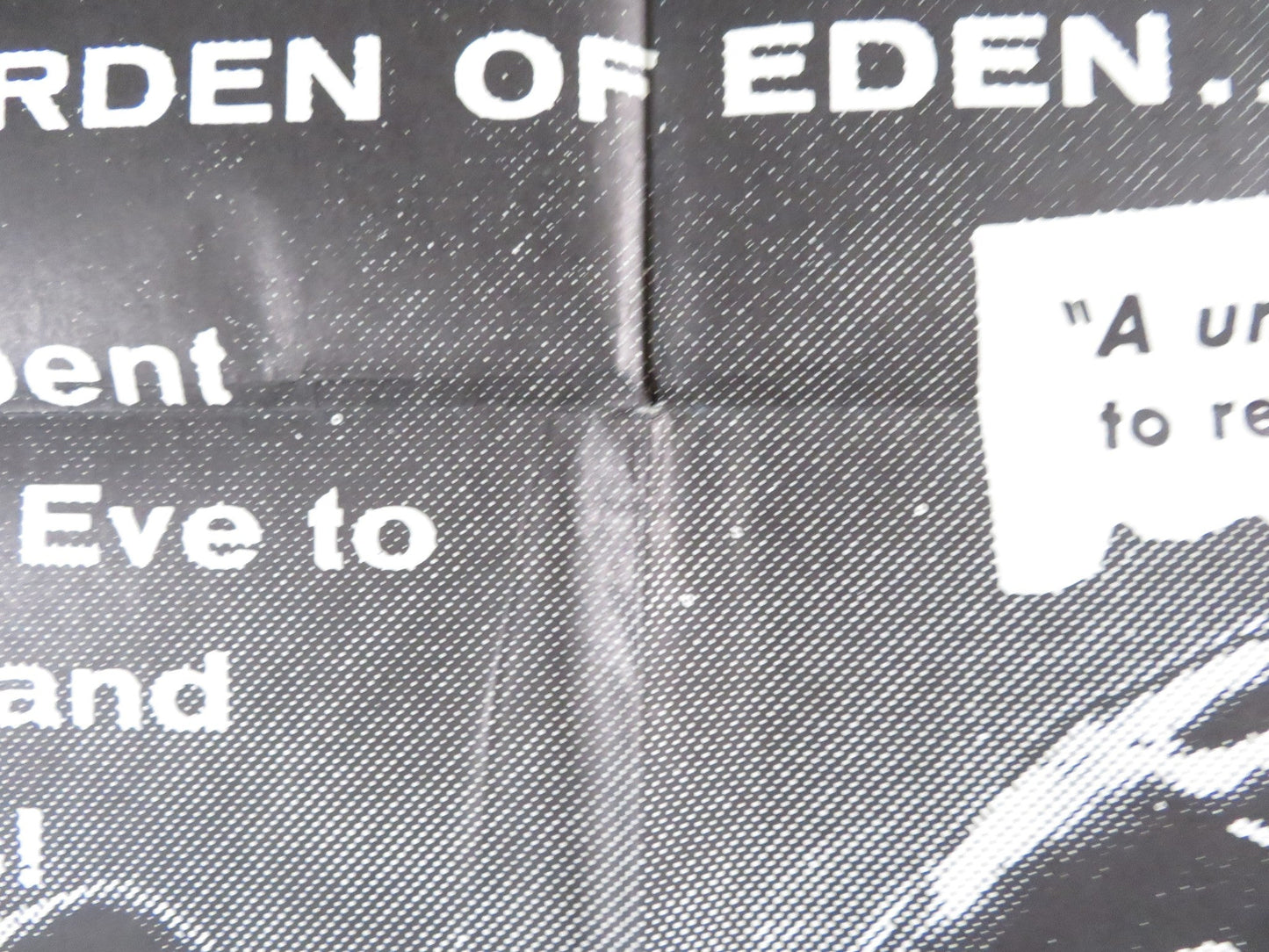 ADAM AND EVE FOLDED US ONE SHEET POSTER CHRISTIANE MARTEL CARLOS BAENA 1958 - Rendezvous Cinema