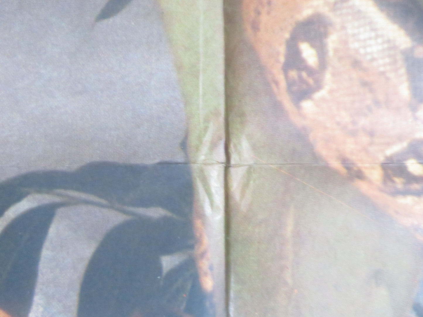 ADAM AND EVE ITALIAN 2 FOGLIO POSTER MARK GREGORY ANDREA GOLDMAN 1983 - Rendezvous Cinema