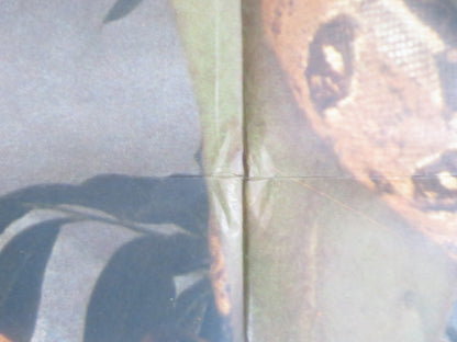 ADAM AND EVE ITALIAN 2 FOGLIO POSTER MARK GREGORY ANDREA GOLDMAN 1983 - Rendezvous Cinema