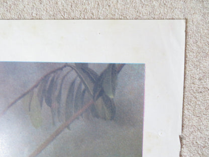 ADAM AND EVE ITALIAN 2 FOGLIO POSTER MARK GREGORY ANDREA GOLDMAN 1983 - Rendezvous Cinema