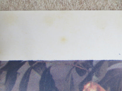 ADAM AND EVE ITALIAN 2 FOGLIO POSTER MARK GREGORY ANDREA GOLDMAN 1983 - Rendezvous Cinema