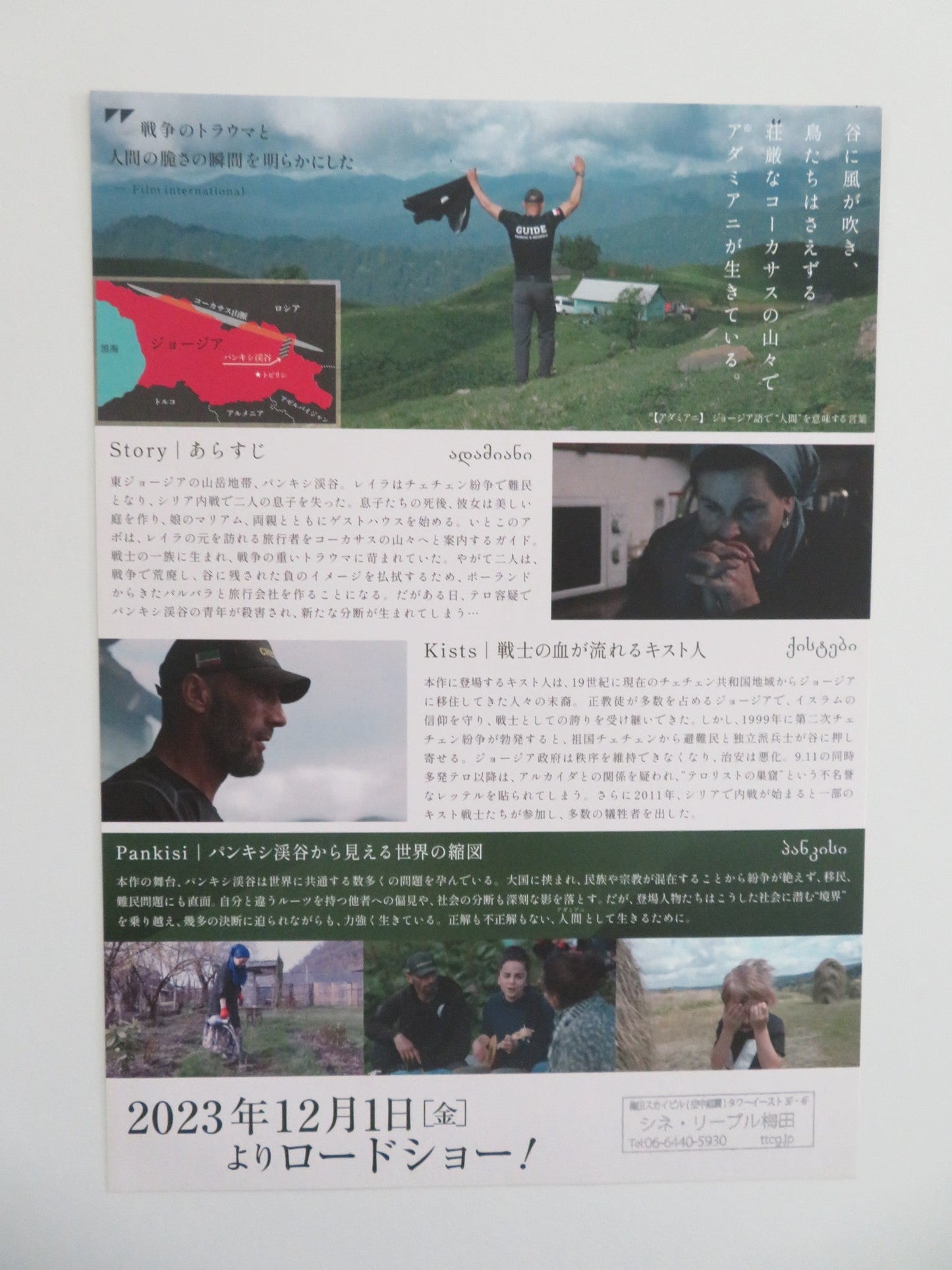 ADAMIANI JAPANESE CHIRASHI (B5) POSTER 2022 Movie posters