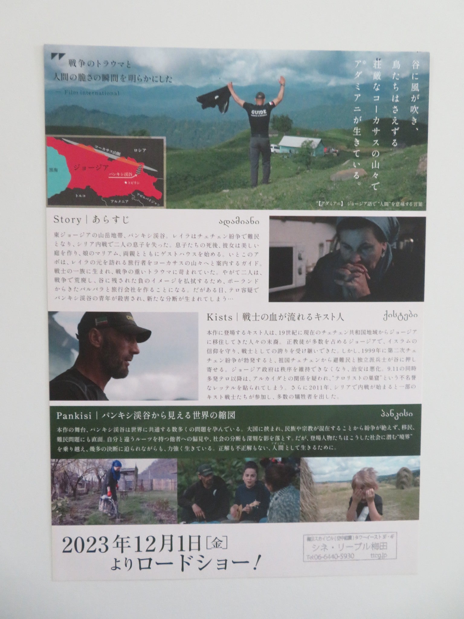 ADAMIANI JAPANESE CHIRASHI (B5) POSTER 2022 Movie posters